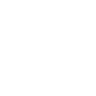 Dice face 6